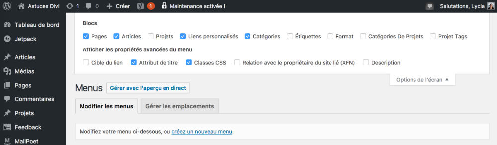 Classe CSS pour mega menu