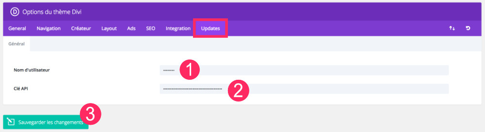 Divi Theme Options: tab updates