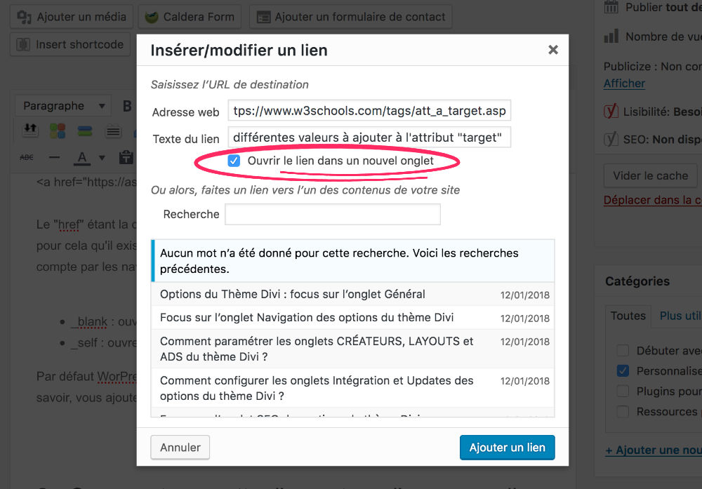 Ajouter un Target Blank dans un lien de WordPress