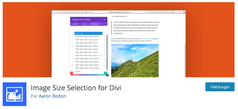 Free Plugin Divi : selección de tamaño de imagen