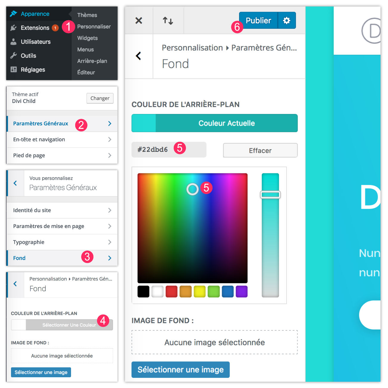 Different Background Color On Each Page Of A Divi Site It S