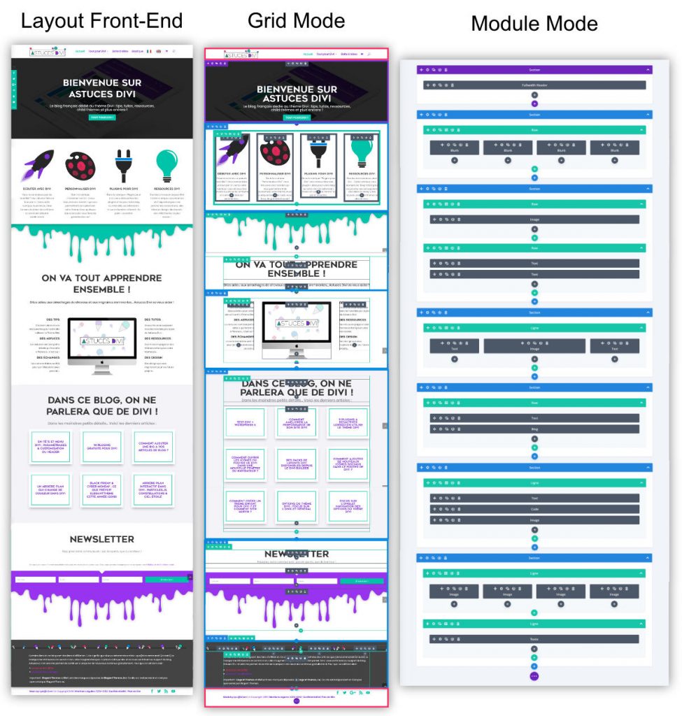 Creating a Layout with Divi