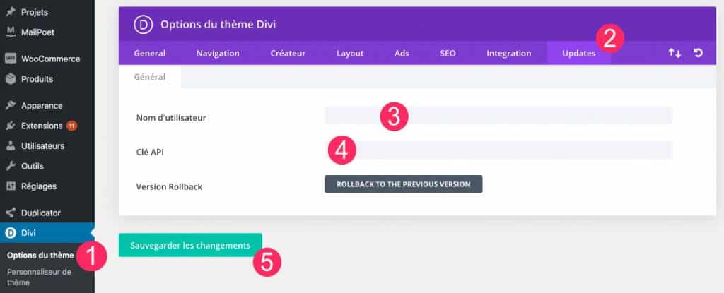 Where to enter the Divi key?