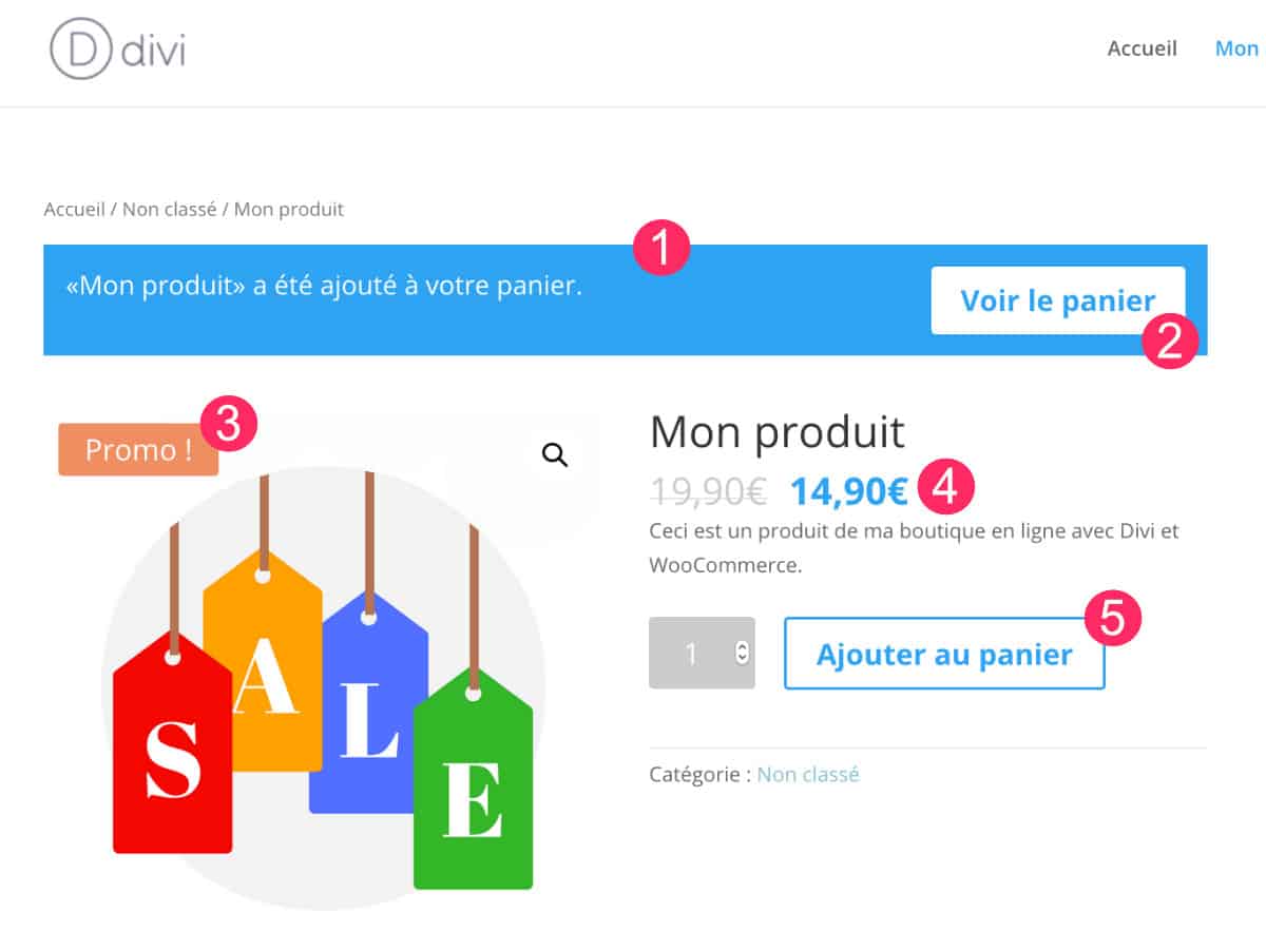 Couleur de base - WorCommerce et Divi