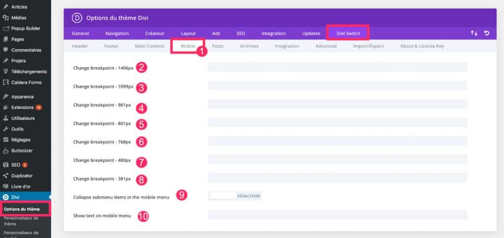 Options pour personnaliser le responsive de Divi