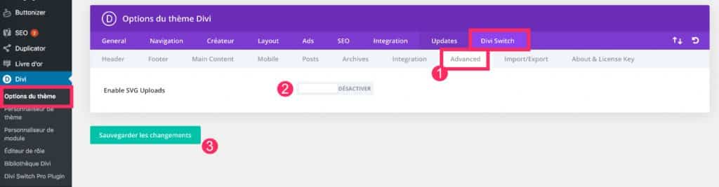 Divi Switch - Advanced Tab