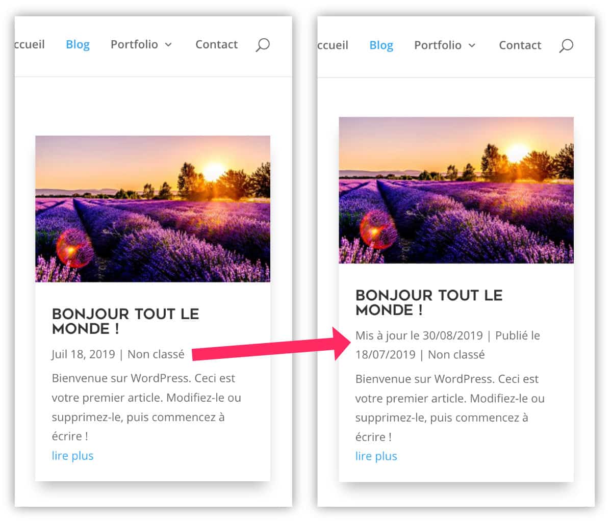Ajouter "article mis à jour le" dans Divi