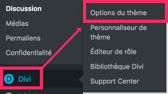 Divi - Options du thème