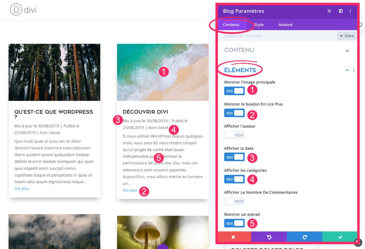 choisir les métadonnées à afficher dans le module blog Divi