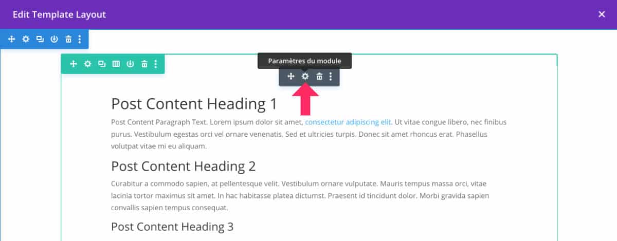 Post Content module settings