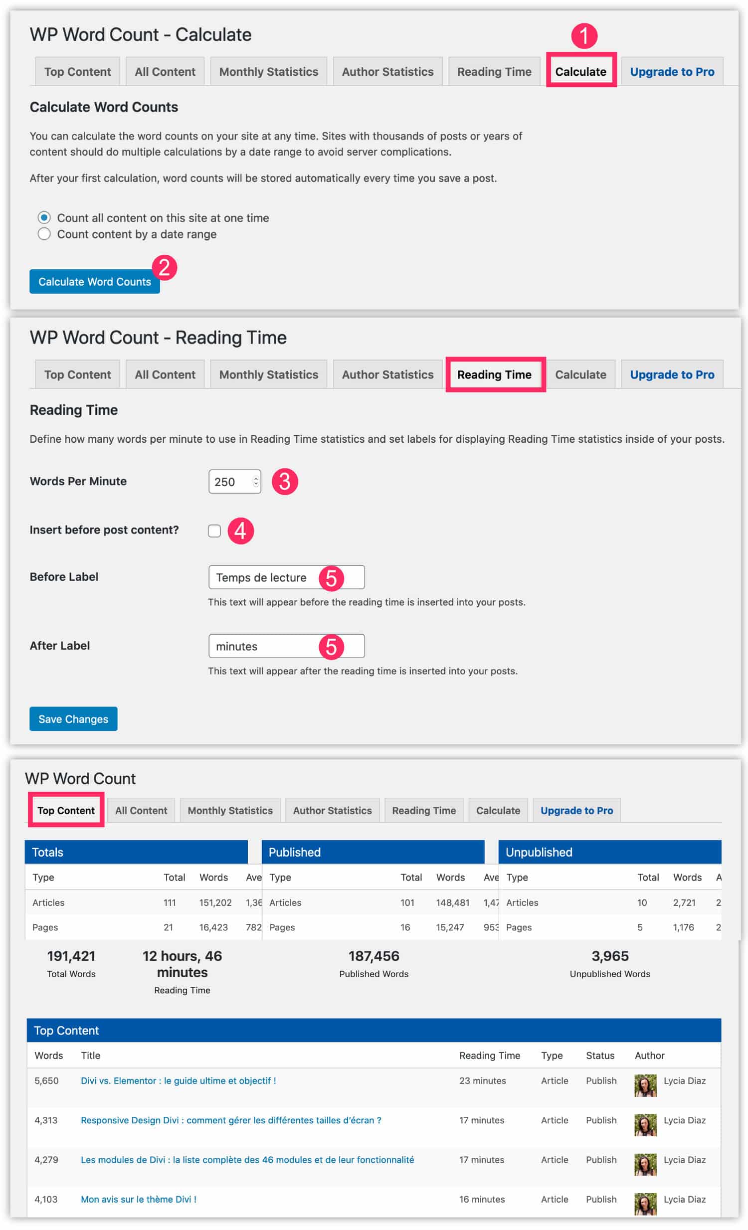 Wp Word Count settings