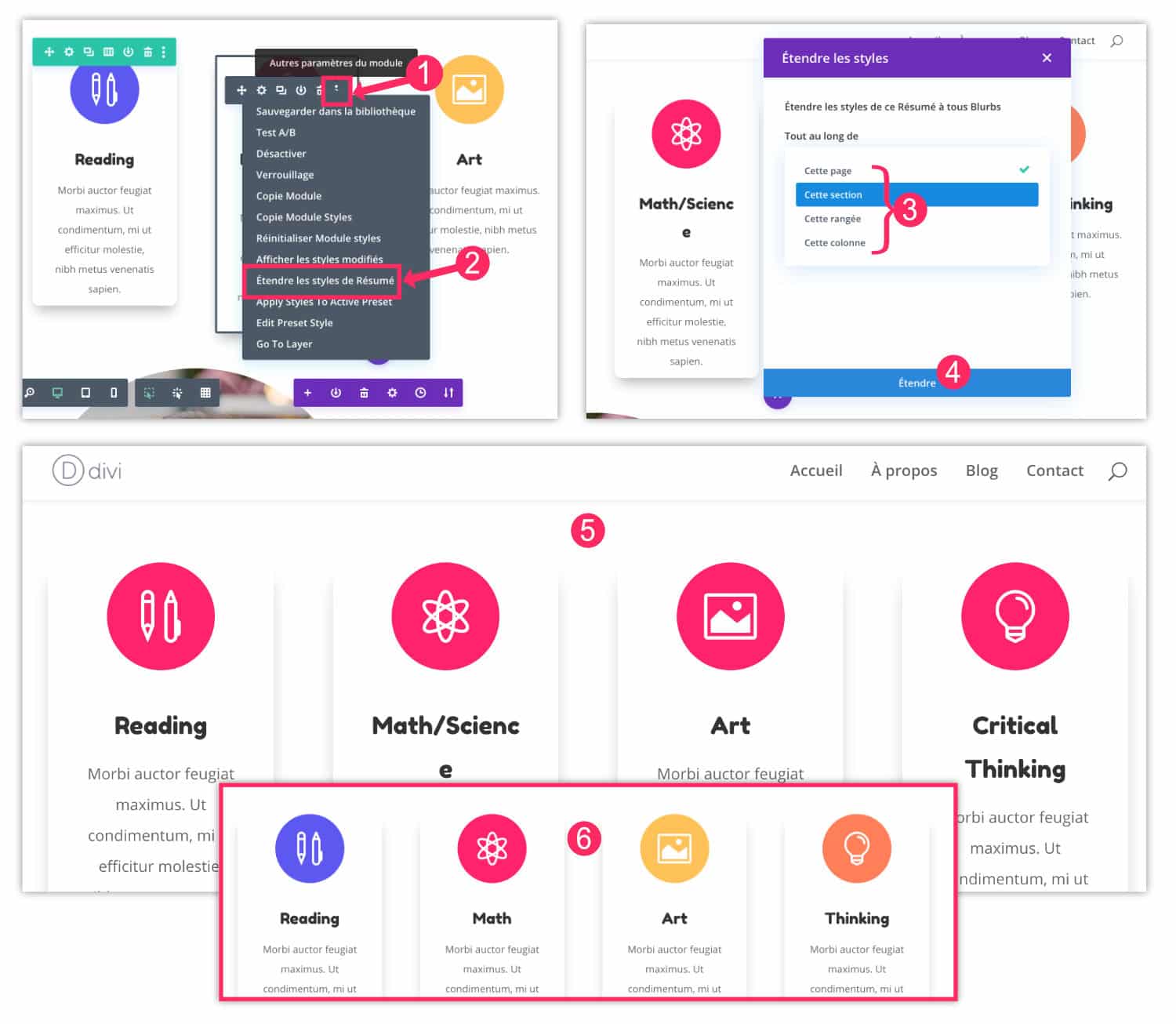 Divi Presets vs. Estilo expandido