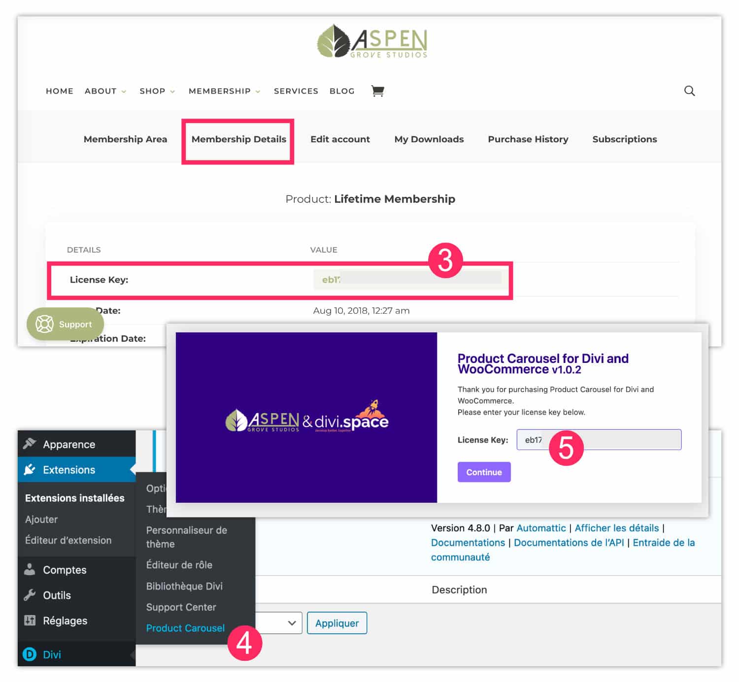 Instalar plugin y habilitar licencia