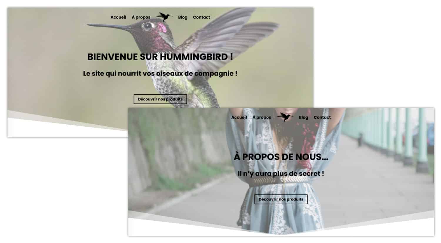 Header Hero avec menu transparent