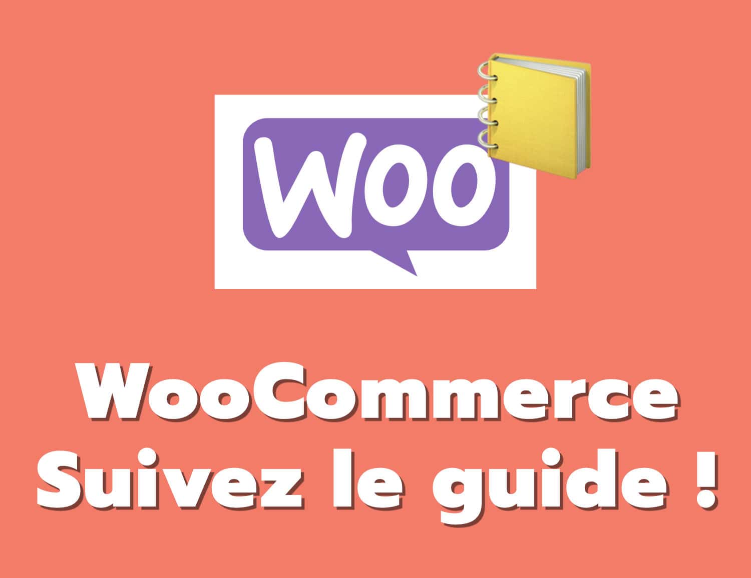 woocommerce guide