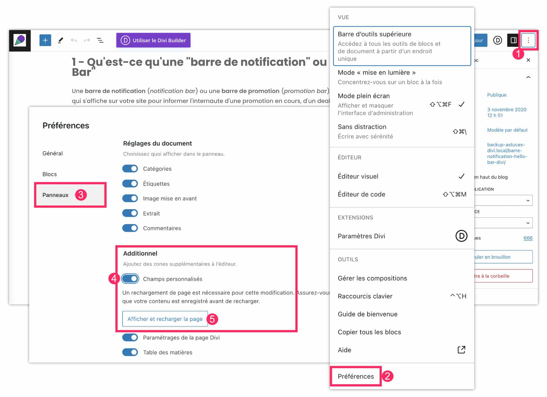 divi custom field 1