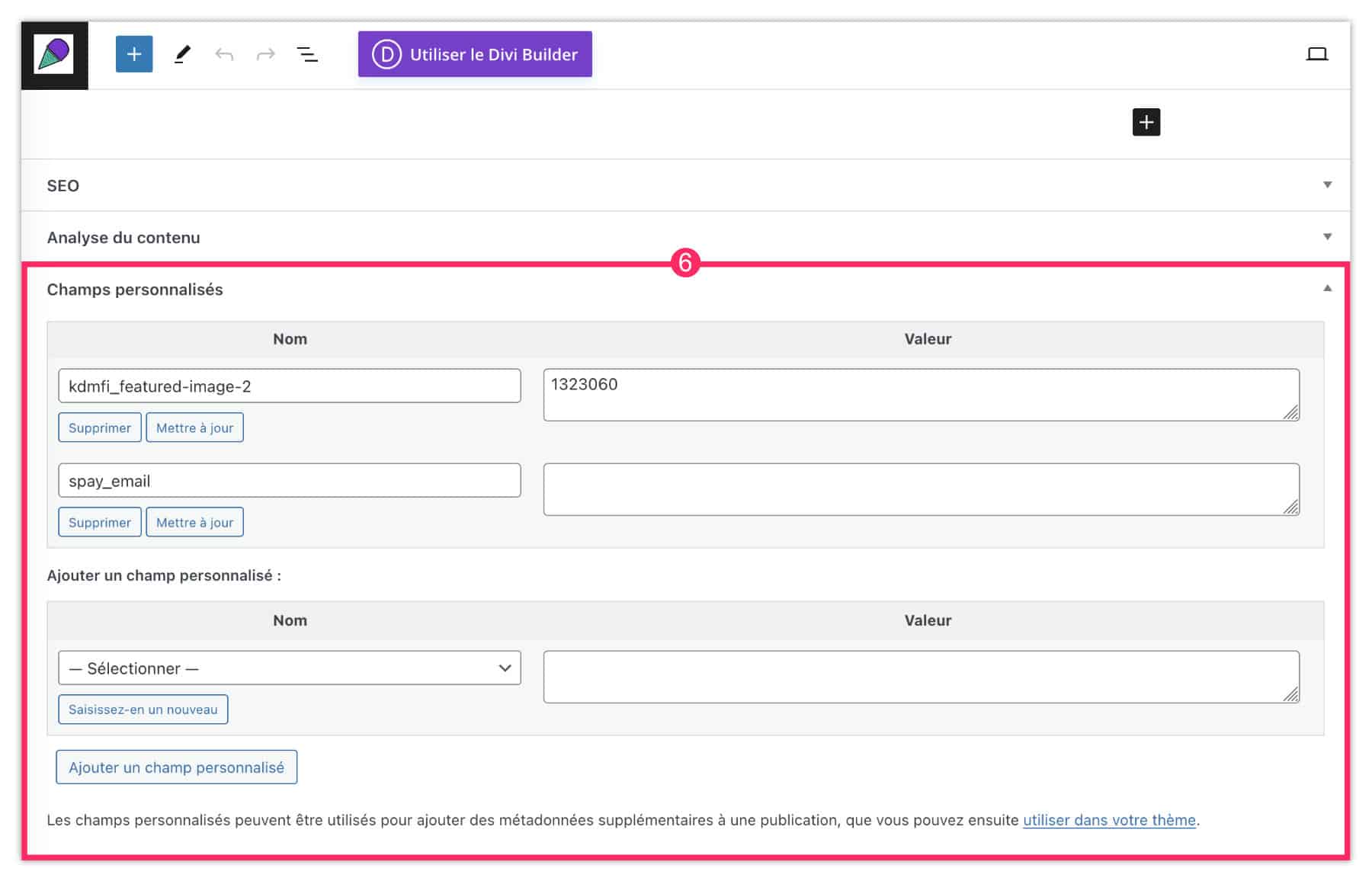 divi custom field 2 bis