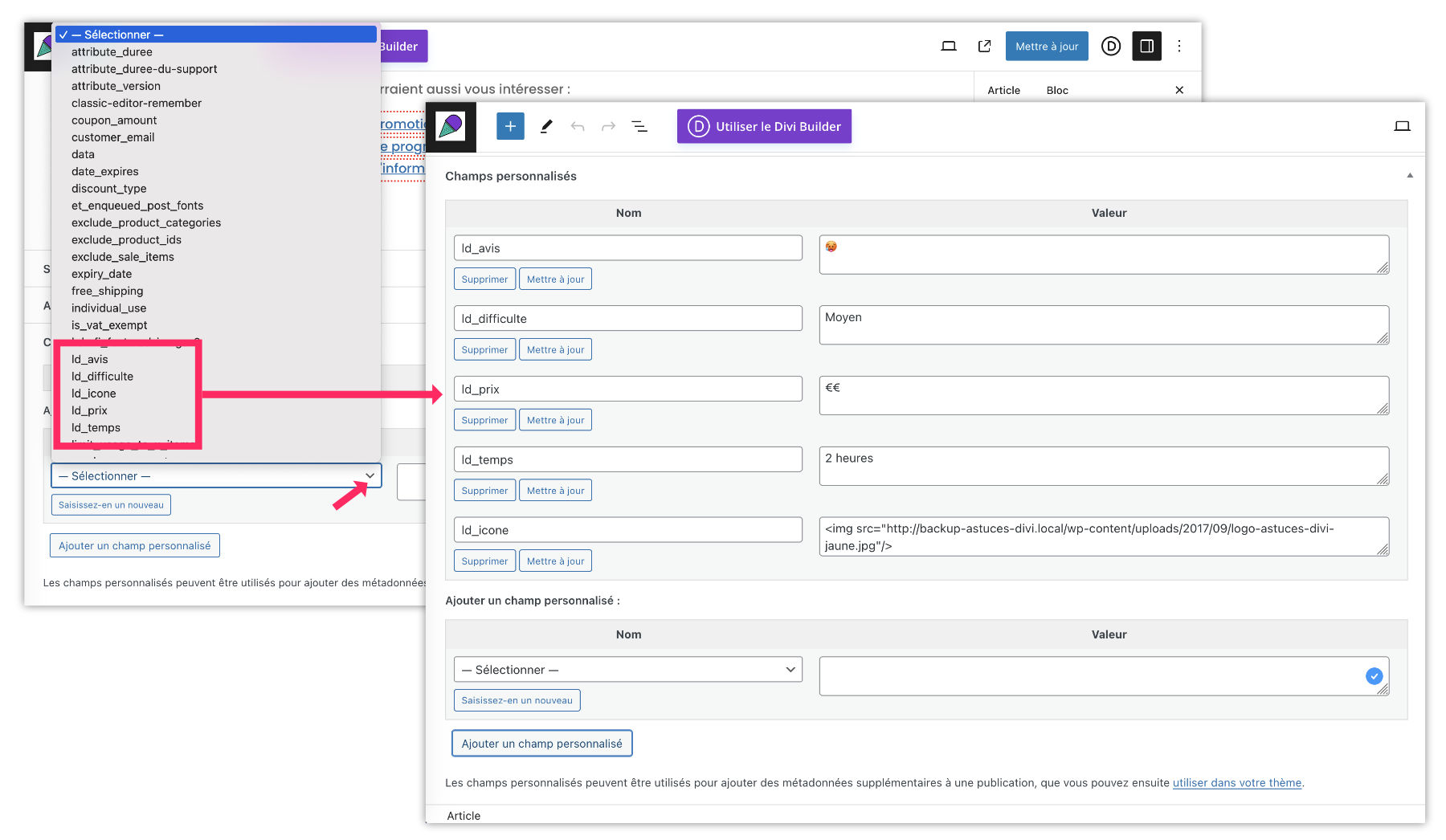 divi customer field 3